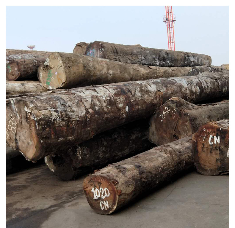 红橄榄原木 家具户外工程材园林柱子料 一手货源 量大从优