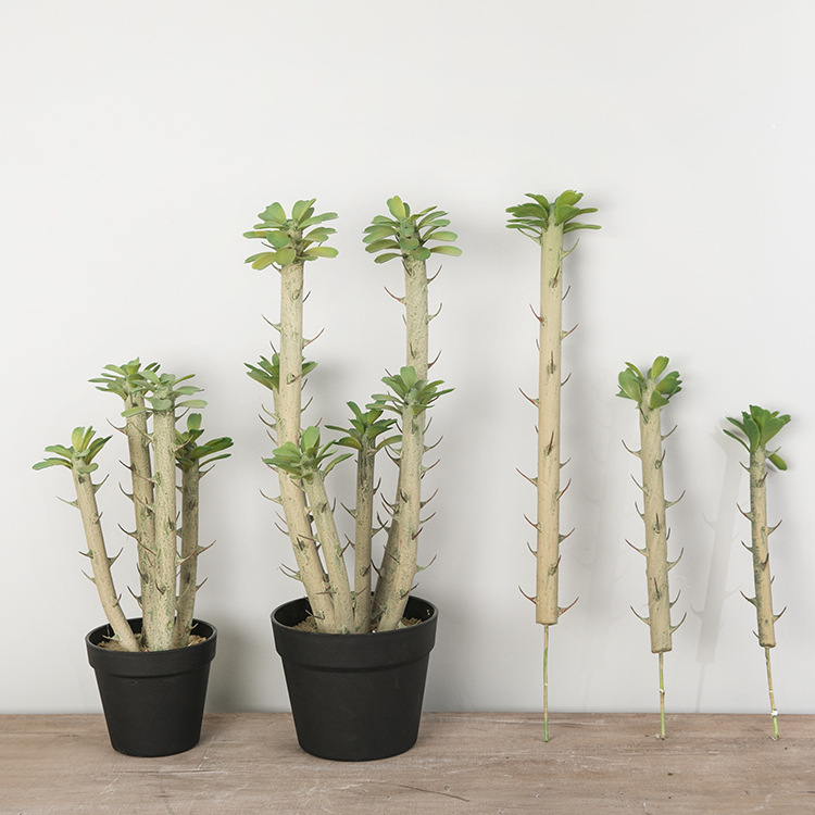 ins北欧绿色仿真绿植圆柱仙人掌 盆景盆栽装饰植物家居装饰批发