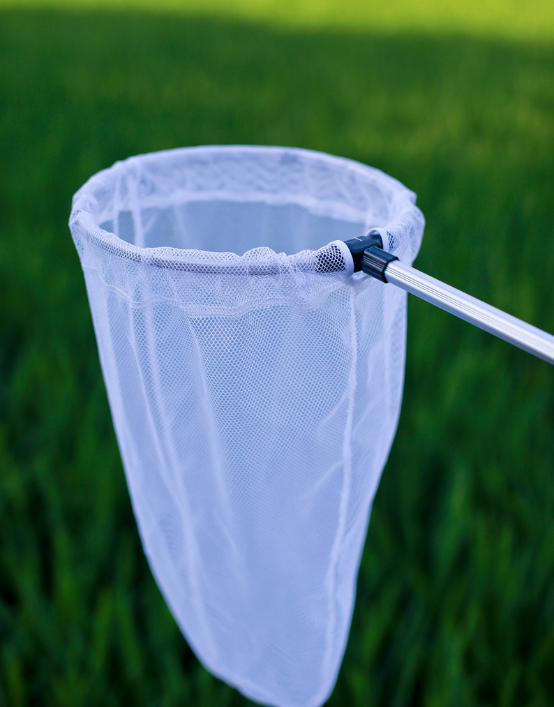 铝合金超短捕虫网 蝴蝶蜻蜓昆虫网兜伸缩捞鱼网小鱼兜蝌蚪两用-阿里巴