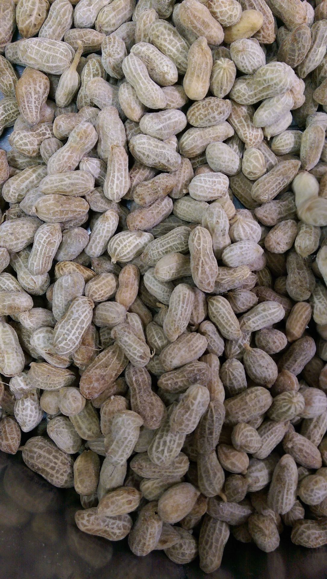 明达食品常年供应冷冻花生粒 带壳花生 小白沙 四粒红 批发