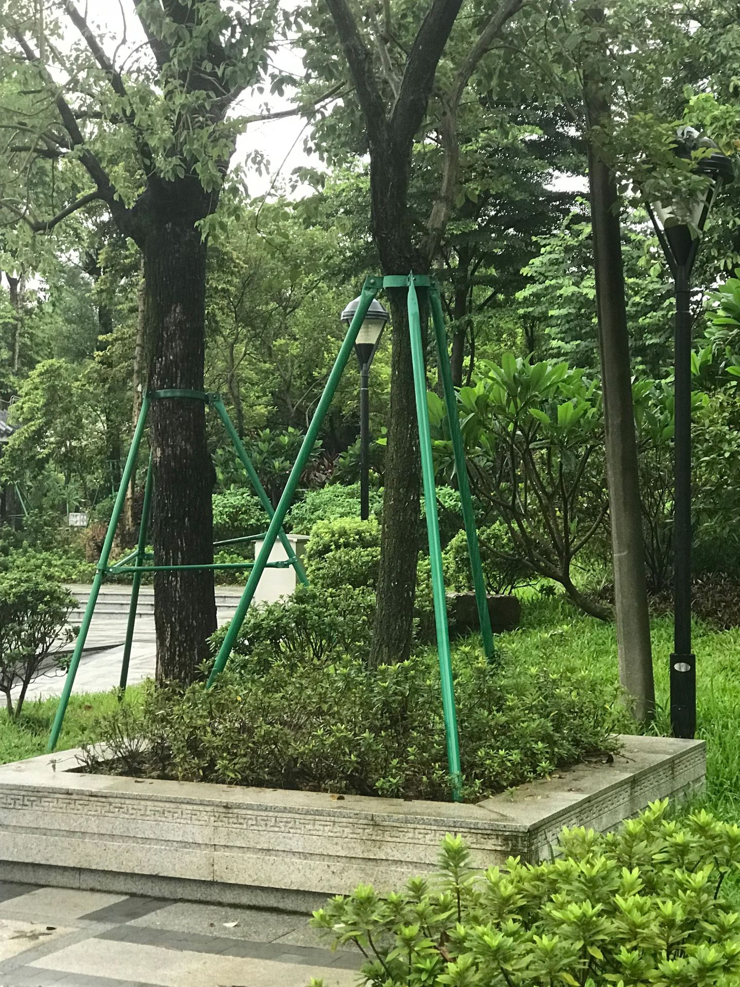 镀锌钢管树木支撑架 金属铁抱箍固定器 园林绿化防风大树撑杆苗木