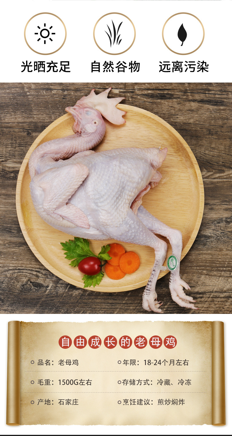 农家散养鸡_冷冻鸡鸡肉老母鸡整鸡冻货农家散养鸡炖