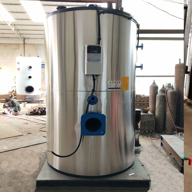 500公斤液化气蒸汽发生器水泥养护蒸煮大豆杀菌立式蒸汽发生器