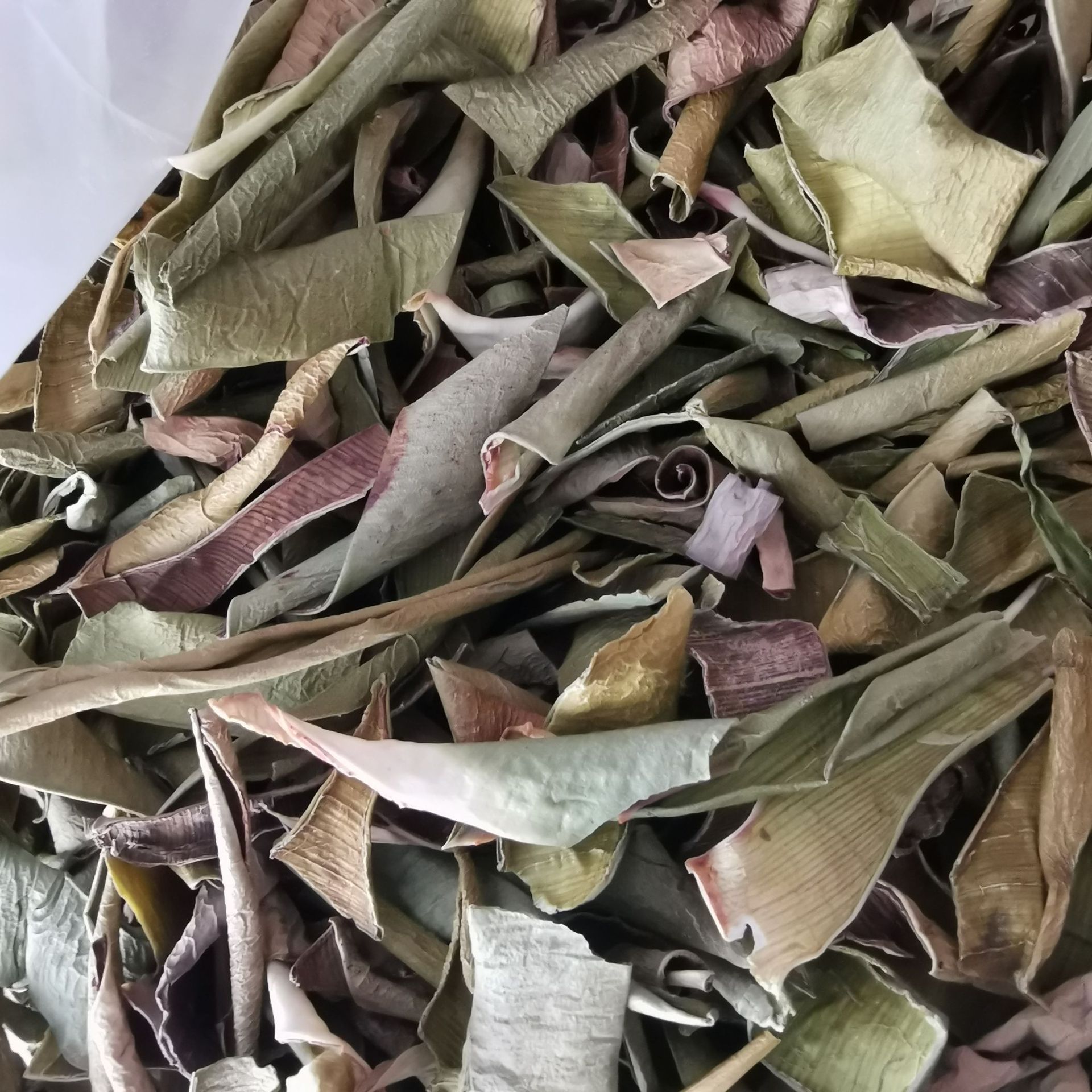 中药材 芦荟茶 茶用 芦荟干 芦荟丝 一件500克 量大从优 可打粉