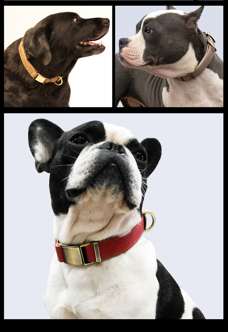 0cm宽 中小型犬狗脖套狗脖圈贵宾亚马逊热销款