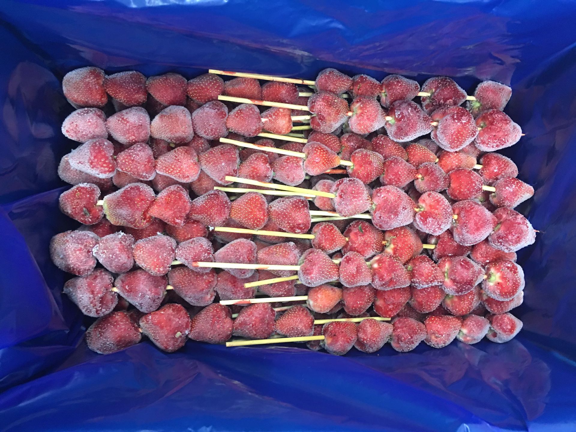 冰糖草莓串 草莓糖葫芦 内销超市 批发