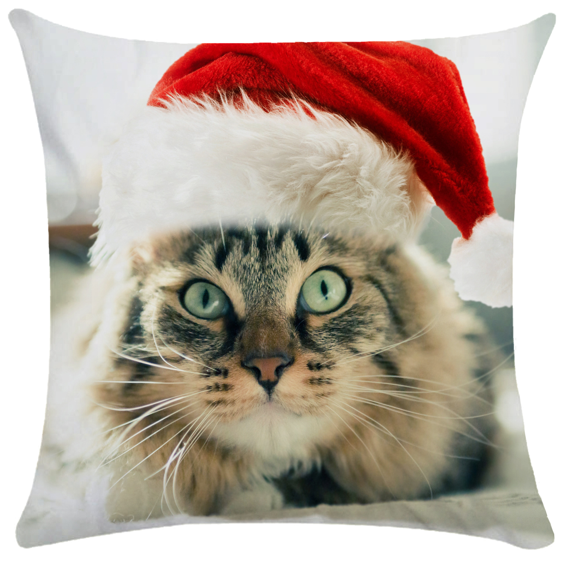 可爱宠物猫呆萌猫咪枕套超柔短毛绒雨林单双面抱枕靠枕亚马逊爆款