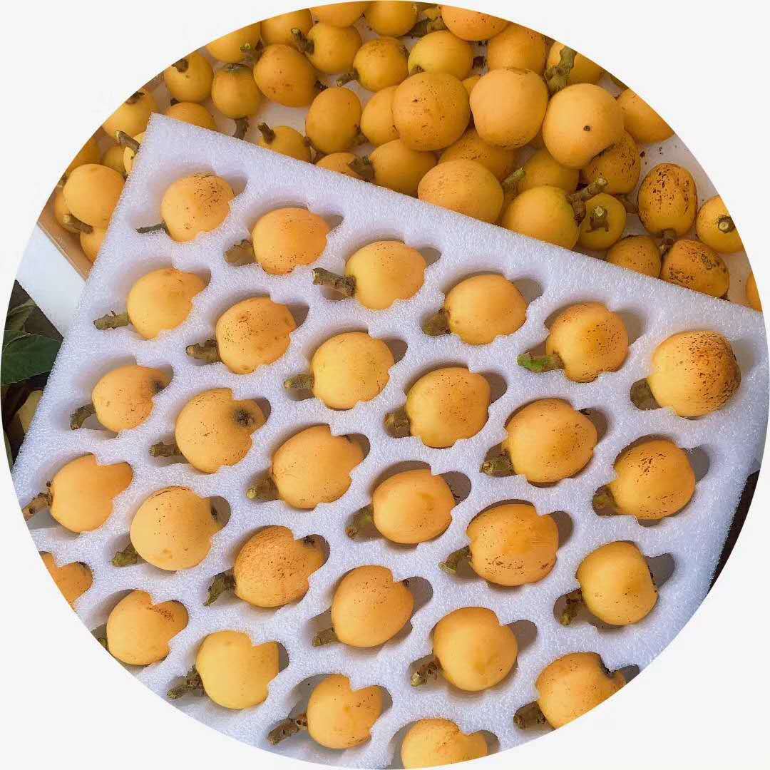 60枚草莓枇杷快递包装 李黄杏儿小西红柿快递包装