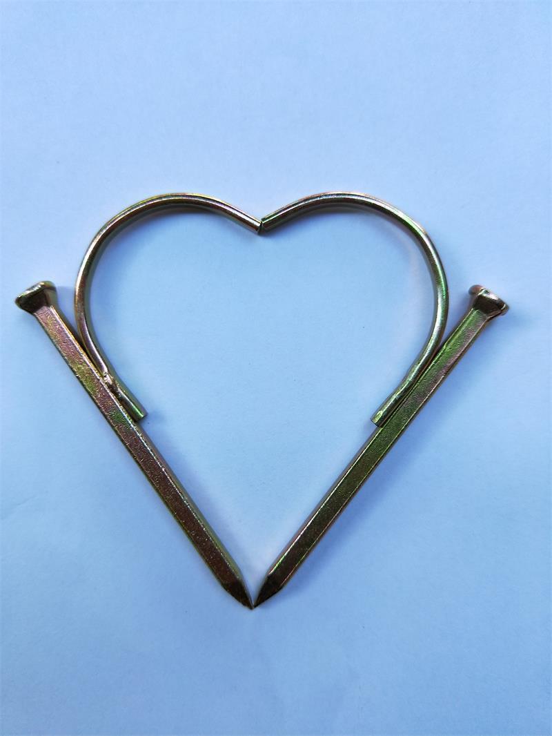 水管固定钉_4//1寸水管钩钉线管卡钉钉水泥钩钉水管固定钉管码钉 - 阿