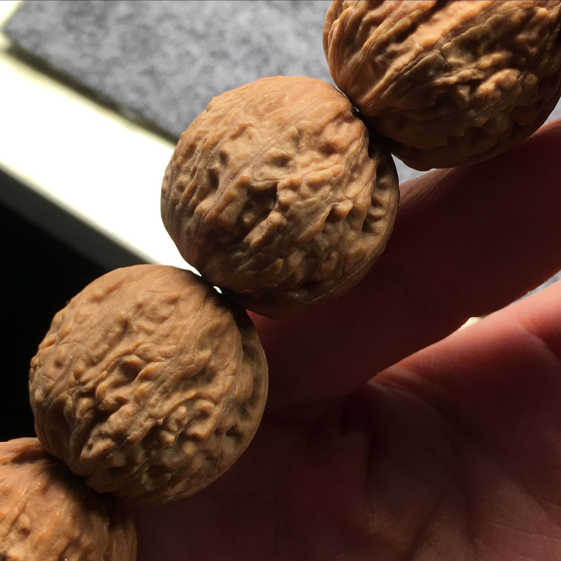 野生京八棱秋子小核桃手持 高密度粗纹 18颗 手串蛤蟆头26左右