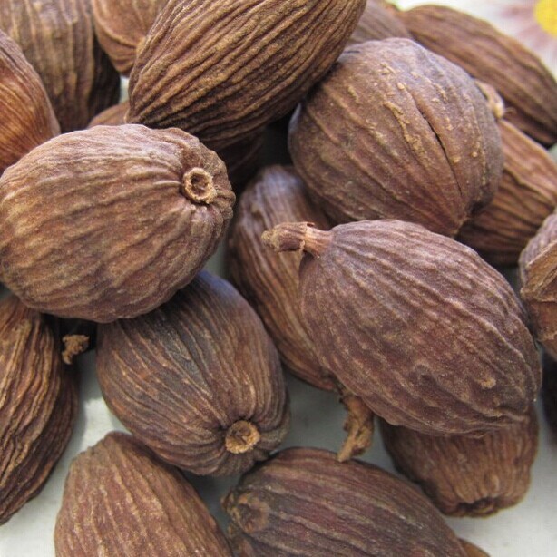 云南草果500g电烤草果去腥提鲜精选调味香料卤料火锅底料产地批发