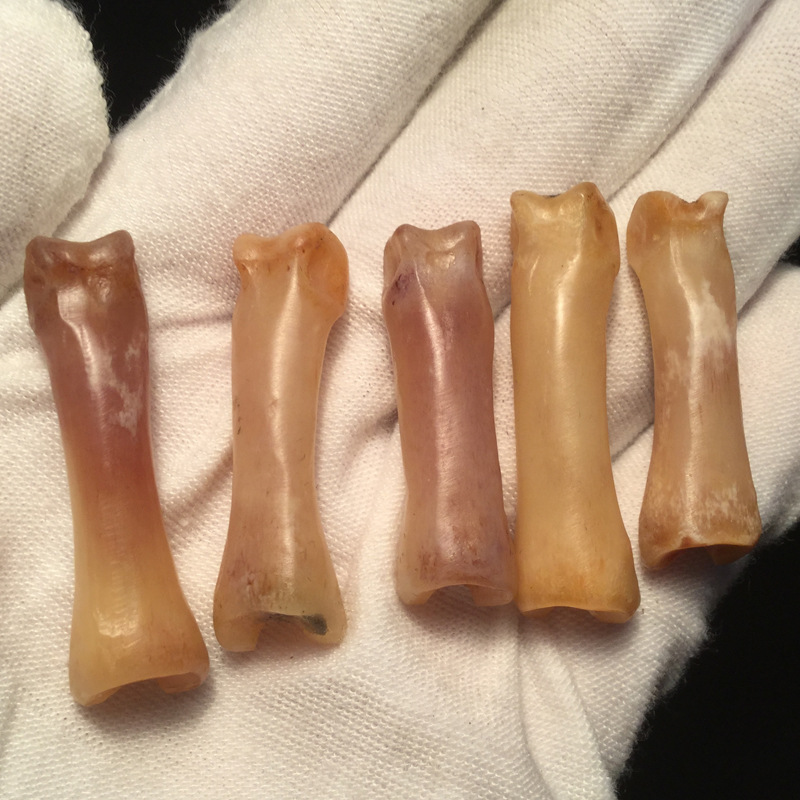 天然骆驼骨小趾骨手链项链 隔珠 关节骨文玩手把件骨质饰品古玩