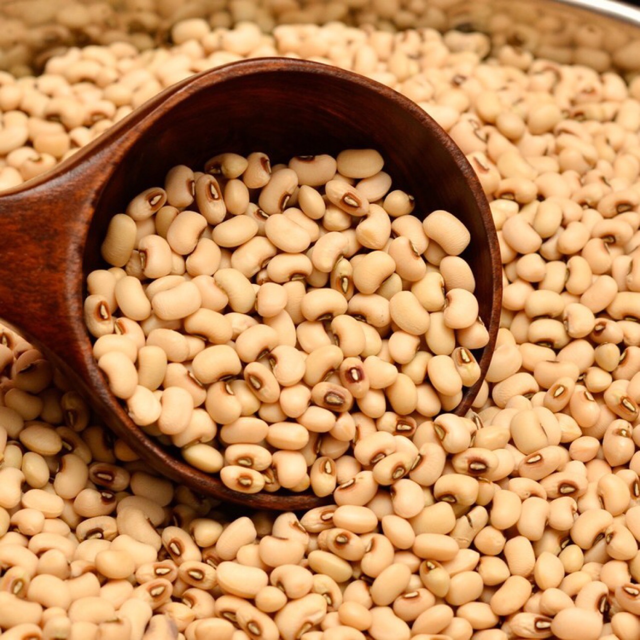 产地直销 批发25kg装 缅甸白眉豆