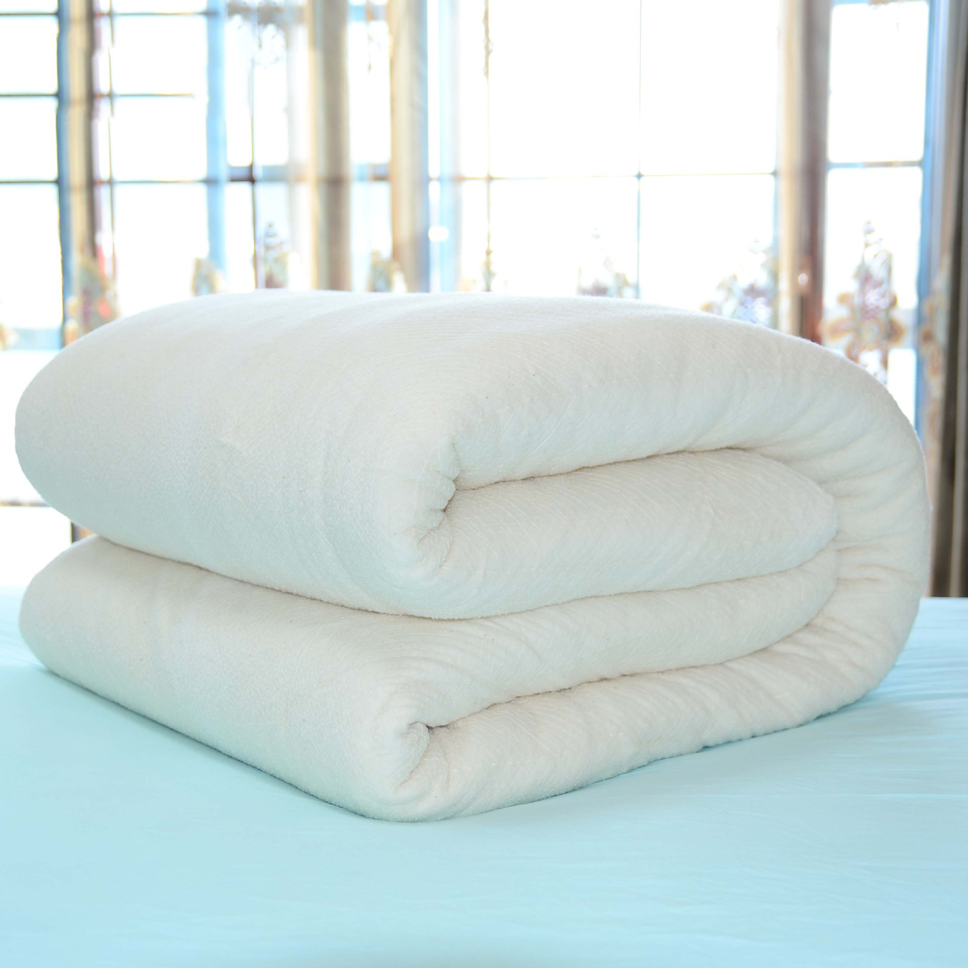 5斤新疆棉被棉胎棉花被芯 学生棉絮工地宿舍垫褥有网保暖冬棉被子