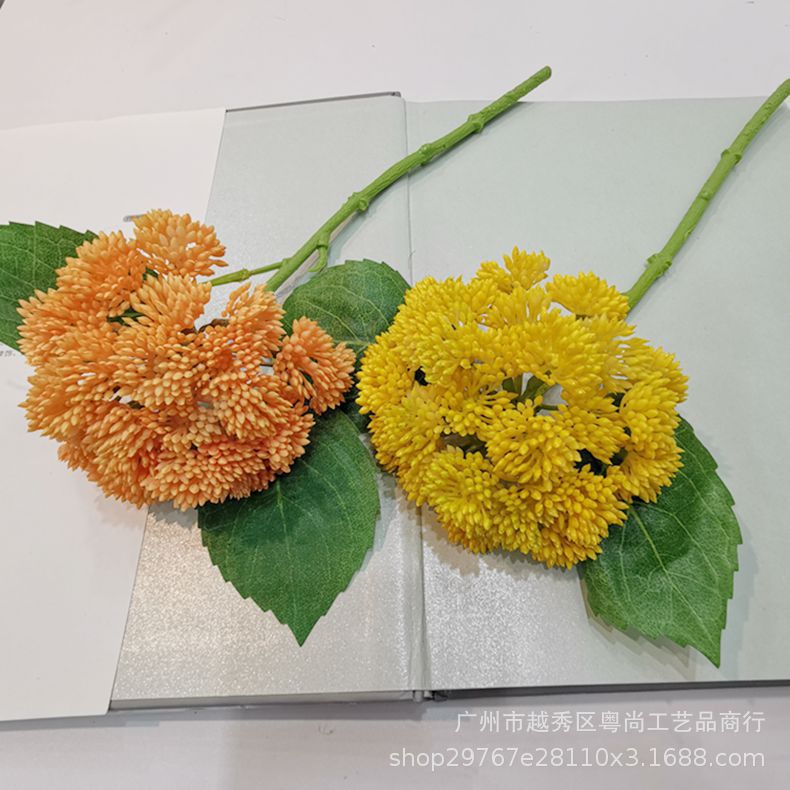 【椰菜果】-椰菜果厂家,品牌,图片,热帖-阿里巴巴
