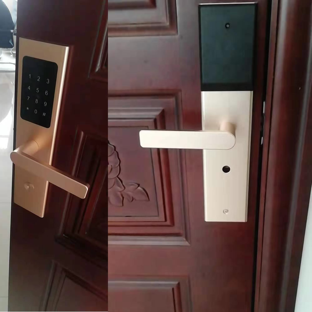 防盗门远程app公寓密码锁出租房酒店宾馆智能 民宿日短租房大门锁