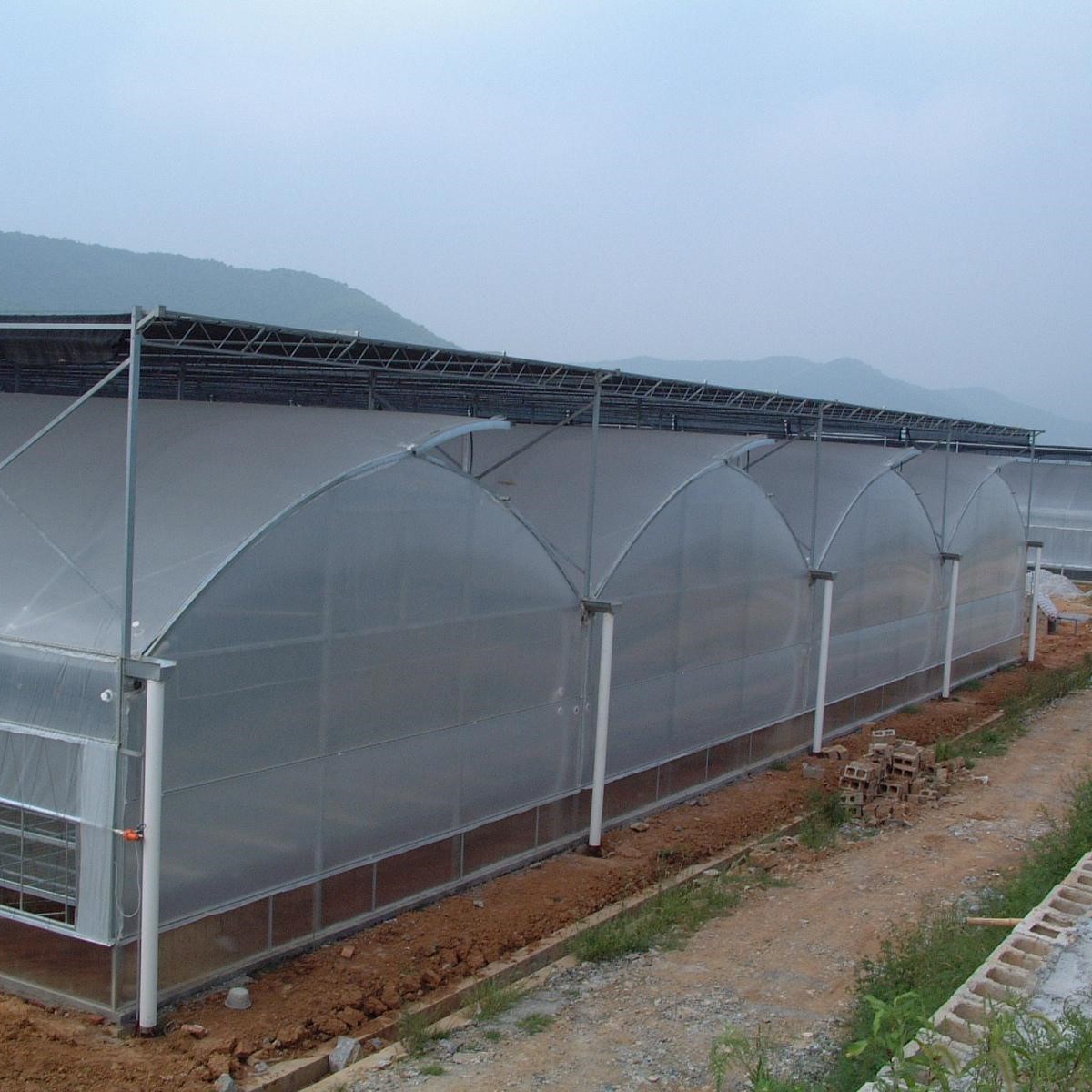 加工定制全自动智能连动薄膜温室大棚蔬菜大棚花房草莓基地智能种