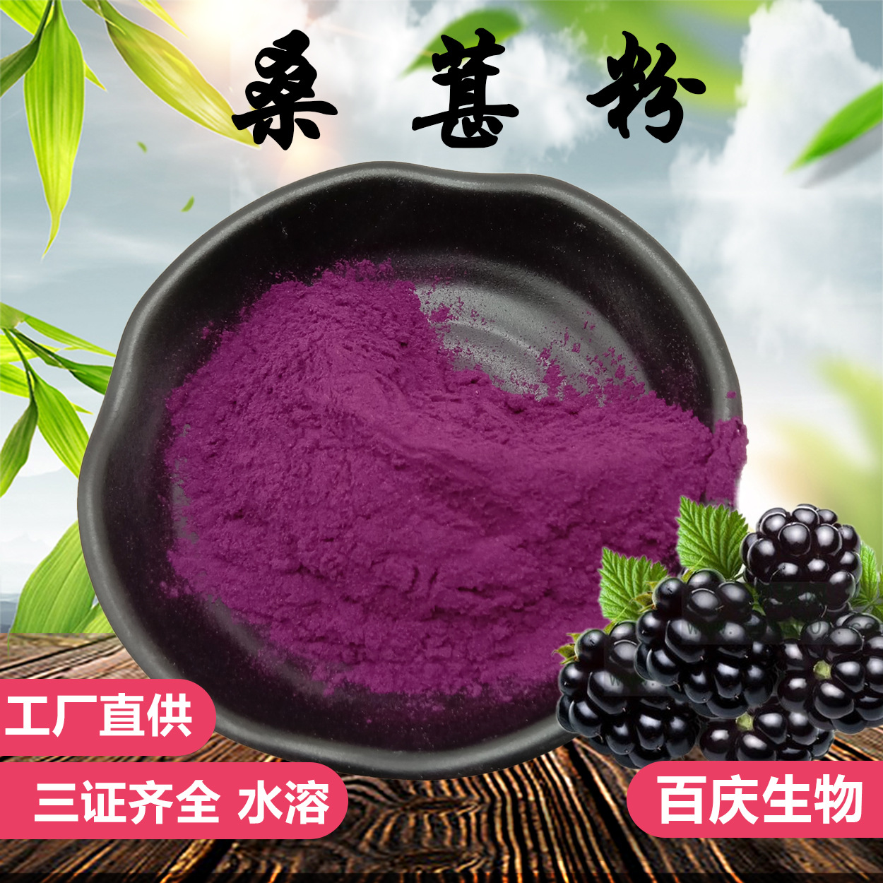 桑葚粉 桑葚果汁粉 桑葚提取物 固体饮料原料 三证齐全 现货包邮