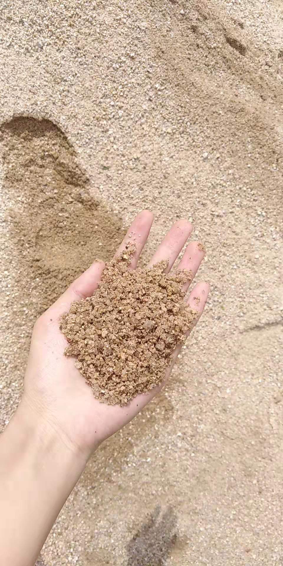 海沙 河沙 中粗沙 细沙 大量批发 河砂 海砂 海水砂