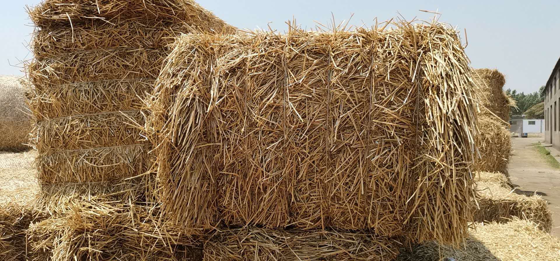 出售小麦秸秆压块麦草牛羊饲草