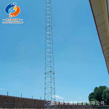 钢结构塔式GJT避雷针塔 厂家供应安装热镀锌角钢铁塔支架