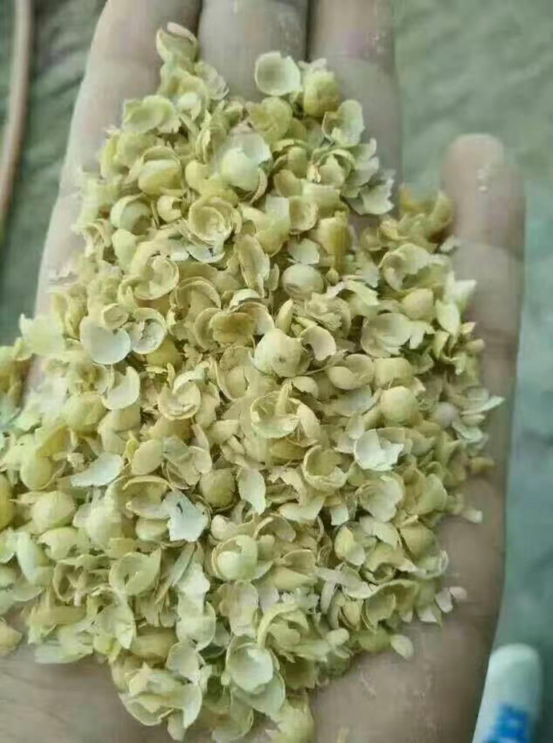 动物大豆皮含有大量的粗纤维,可草食动物粗饲料中的低质秸秆和干草