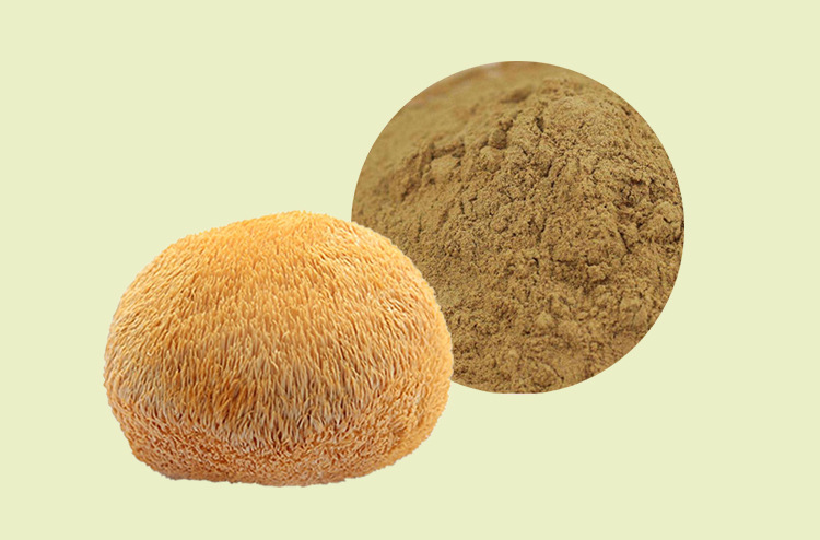 猴头菇多糖30% 园葵现货 猴头菇提取物 菌类多糖 植物提取物 包邮