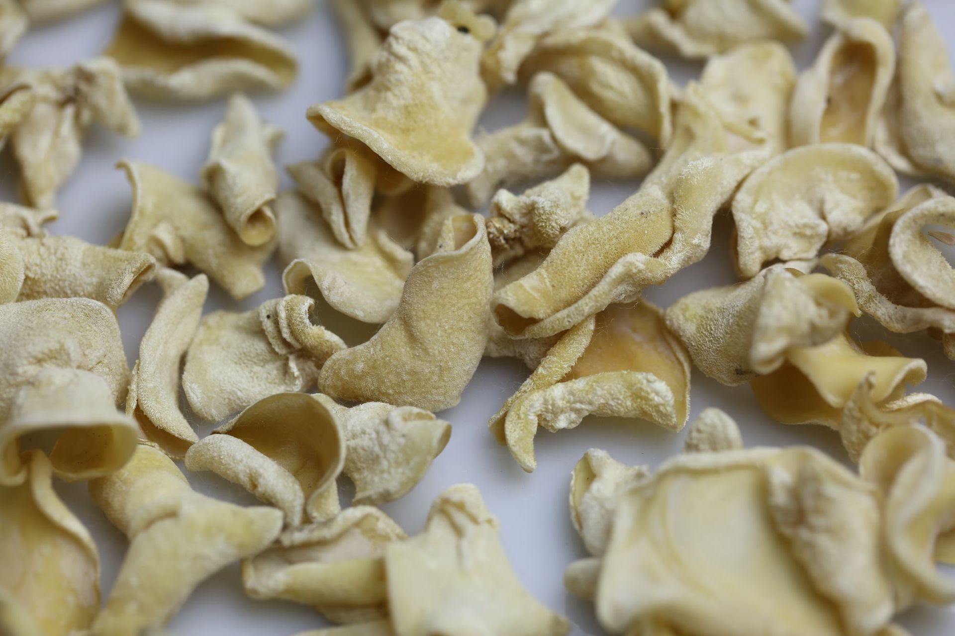 菌状元食用菌白玉木耳500g东北特产农产品木耳干货干净无根批发