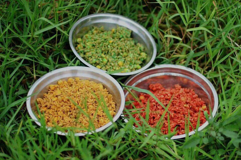 重庆合川杨老师谷麦药酒一杆天下谷麦药酒鱼饵打窝专泡治玉米包谷