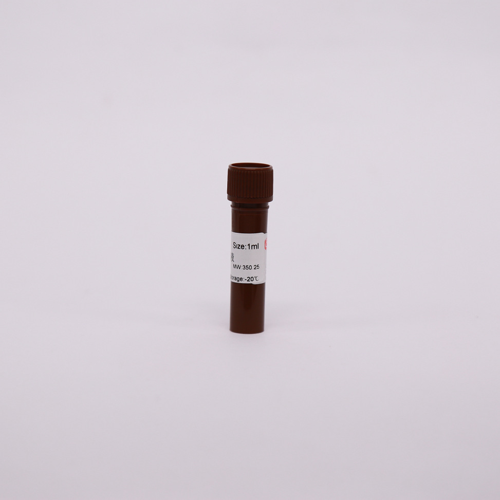 dapi溶液 c0060 1ml/瓶 索莱宝 dapi