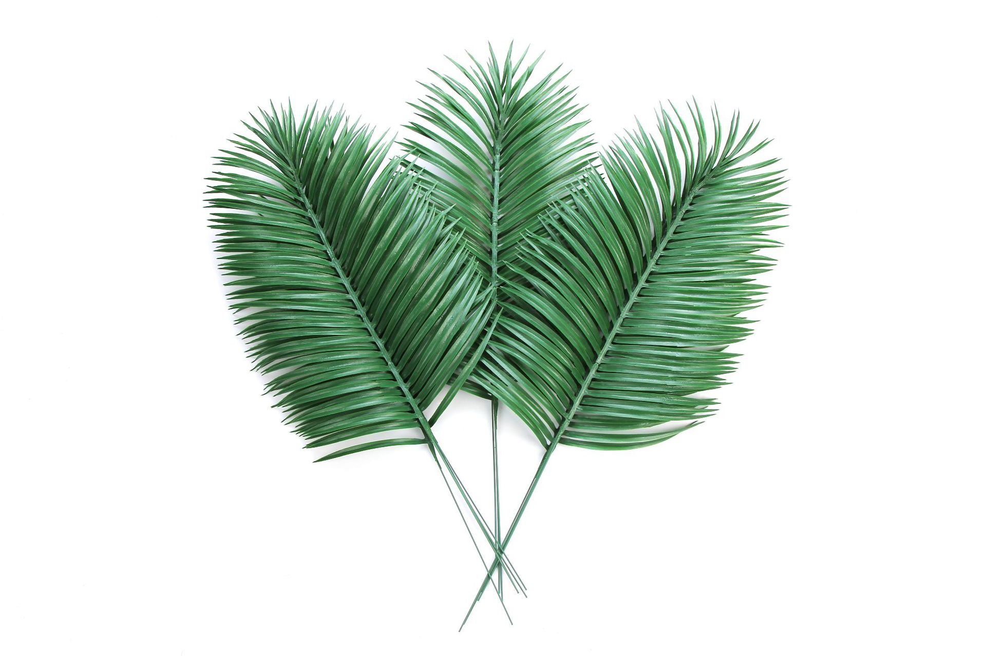 仿真塑料铁树叶_亚马逊仿真塑料铁树叶 道具叶仿真植物