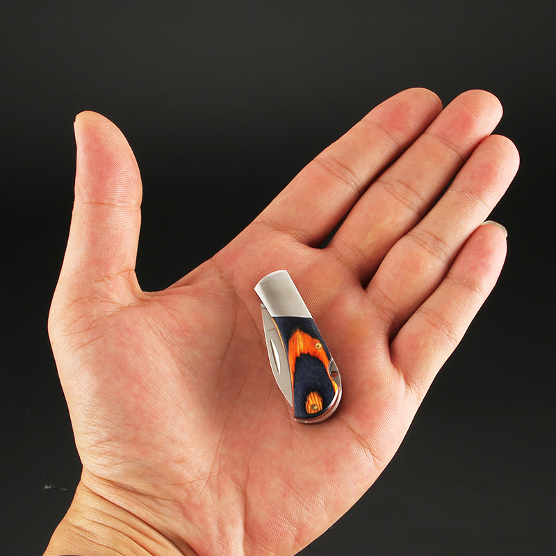Stainless Steel Key Ring Knife Pocket Mini Pendant Knife Wooden Handle Folding Fruit Knife Outdoor Self-Defense EDC