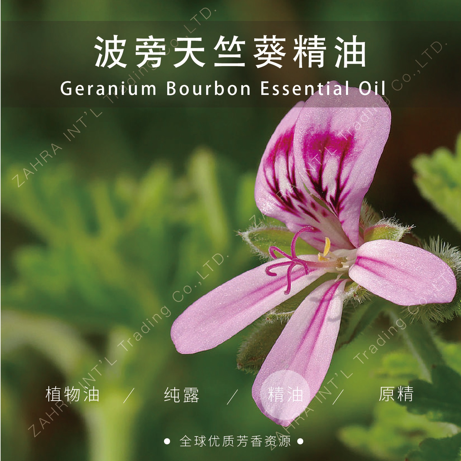 马达加斯加 |进口波旁天竺葵单方精油