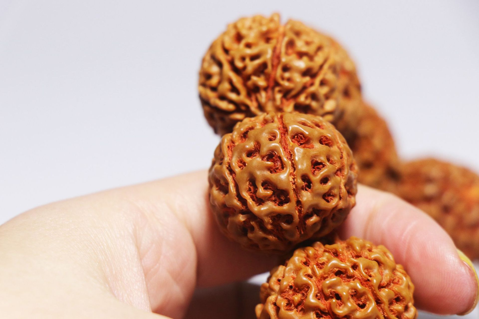 印尼金刚菩提手串24mm七瓣八瓣 落地红佛珠手串大金刚菩提子批发