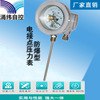 Weft surge Metal Electrical contacts thermometer thermometer liquid steam Gas -80 ℃-+ 500 ℃