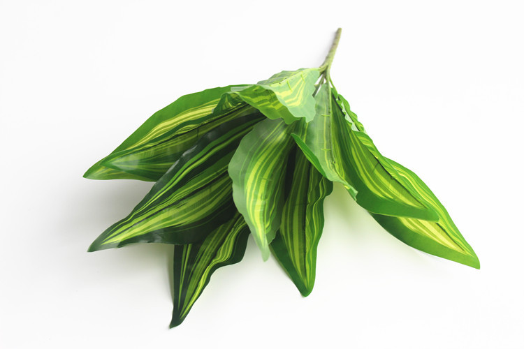 假花绿植盆栽植物墙装饰配材大把束仿真叶子12叉巴西叶