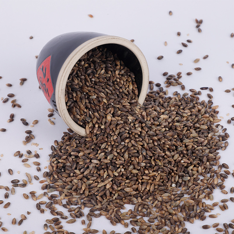 厂家直销去皮黑青稞米 青海黑青稞仁 五谷杂粮粗粮黑青稞袋装25kg