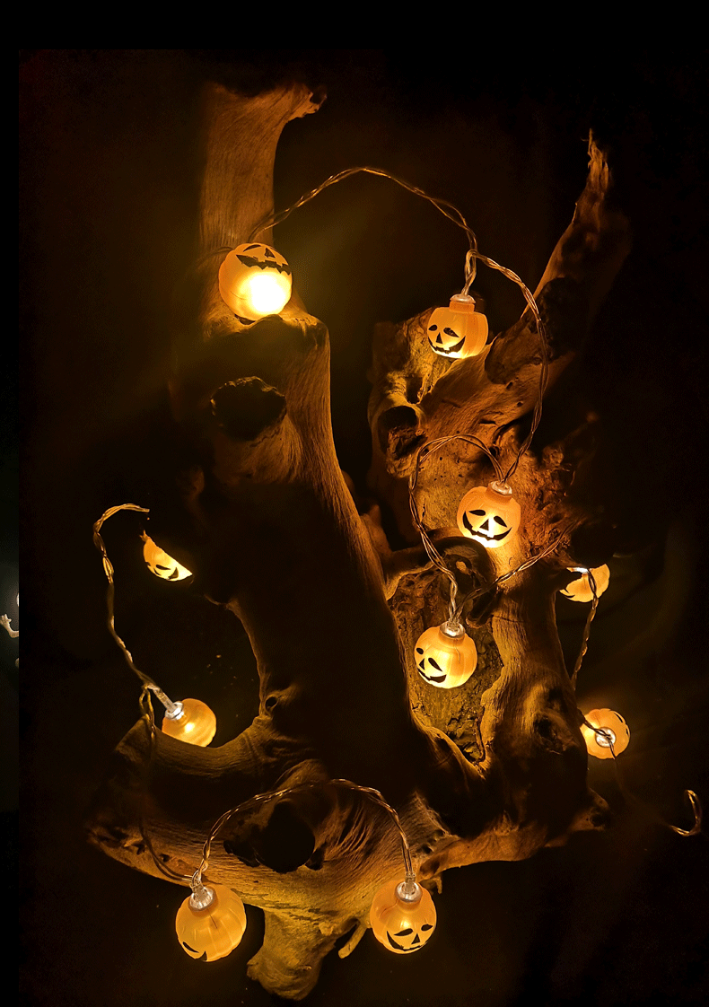 2019新款万圣节装饰灯串南瓜幽灵骷髅蜘蛛蝙蝠电池盒灯厂家直销