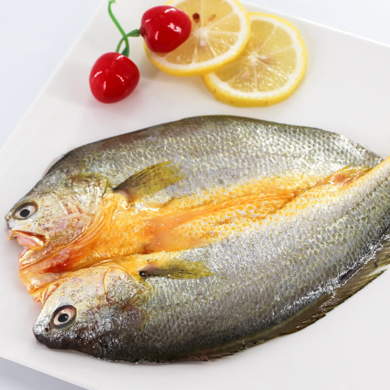 官井一号黄鱼鲞 冷冻三去黄鱼宁德大黄鱼 一条250g   5条包邮