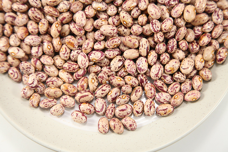 雀蛋豆新货500g新货农家金丝豆红花豆奶花豆芸豆粗粮批发五谷杂粮