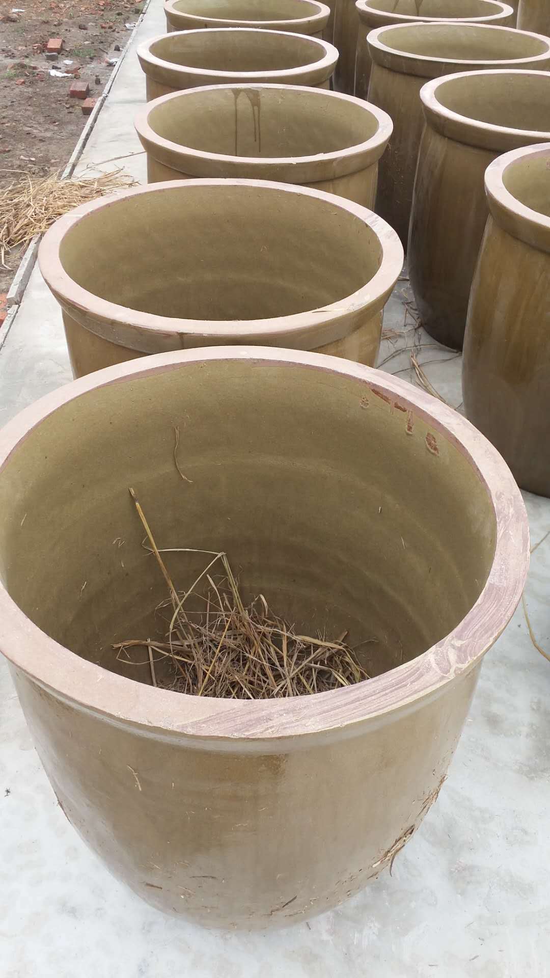 250公斤大口缸 发酵缸 500斤容量水缸 陶瓷大缸 黄釉缸