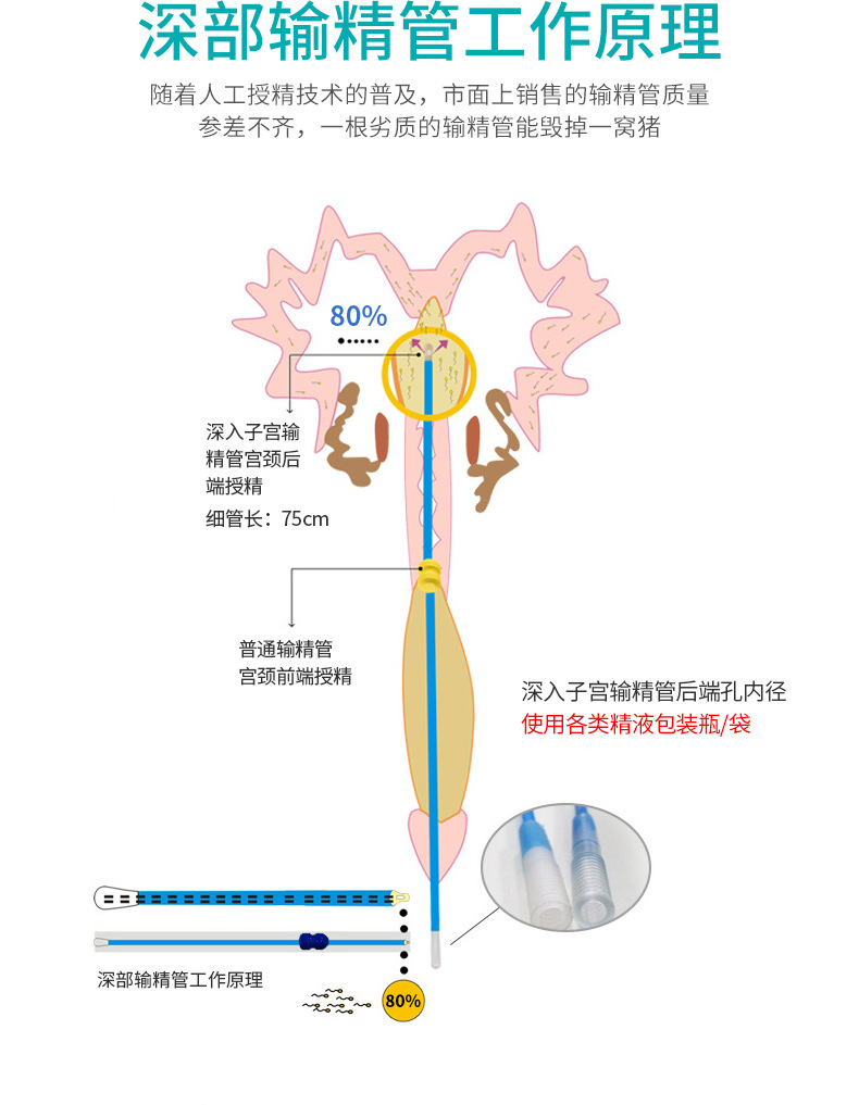 产地货源不带锁扣深部输精管 一次性猪用深入子宫猪人工授精设备
