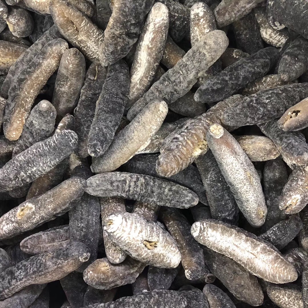 批发渠道深海天然野生海参 非洲明秃参 秃参 纯淡干海参干贷