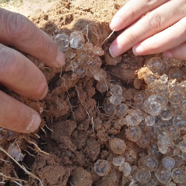 厂家直供透明球形土壤超长保水可降解吸水珠剂