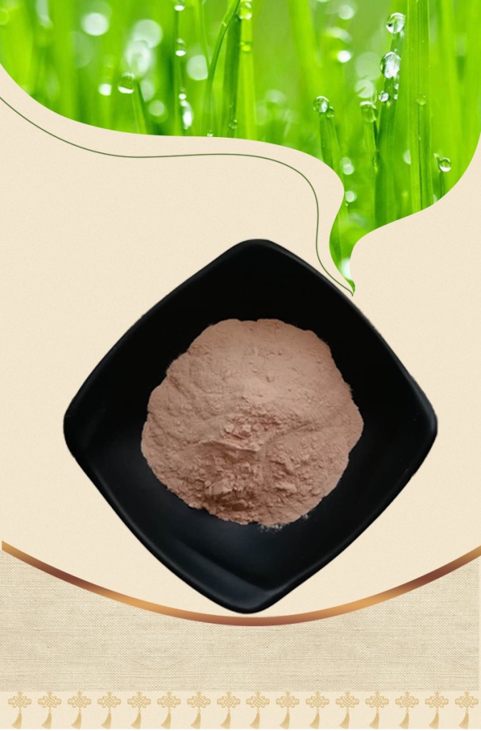 供应酸梅粉 青梅粉/梅子粉 现货 乌梅果粉 一公斤起订 包邮