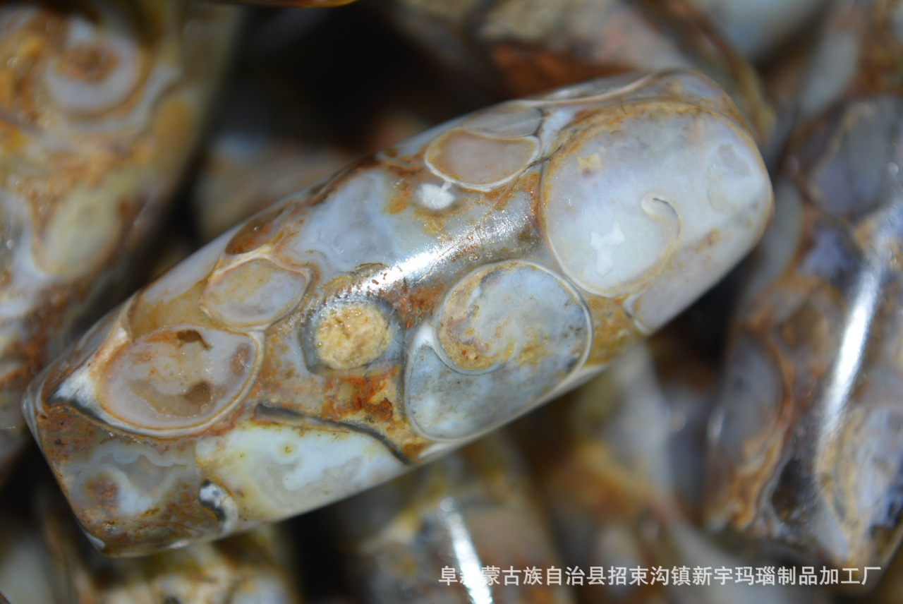 天然原始海螺化石天珠法螺天珠 九眼石页岩老真 西藏