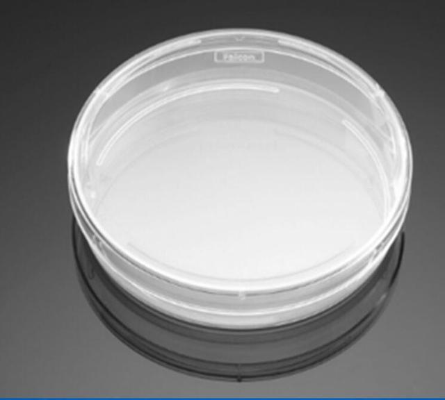 bd falcon 100mmtc处理的细胞培养皿353003 20/包10包/箱