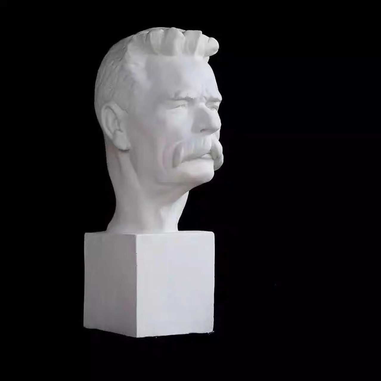 石膏静物美术用品写生教具石膏像硬膜高尔基头像素描