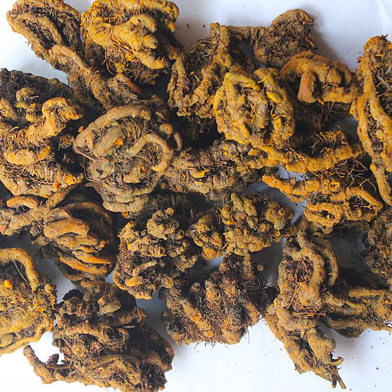 产地货源 中药材批发 四川黄连片散装500g 单支连鸡爪连 筛选新货