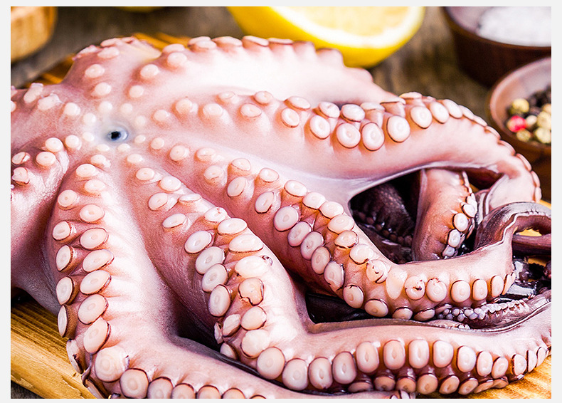 厂家批发西非章鱼 深海域野生进口新鲜生冻大章鱼 一手货源八爪鱼